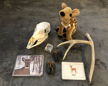 Load image into Gallery viewer, Adaptations