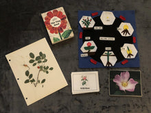 Load image into Gallery viewer, Adaptations