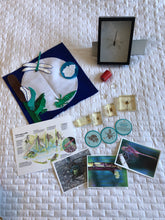 Load image into Gallery viewer, Life Cycles