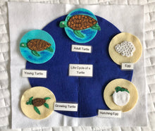 Load image into Gallery viewer, Life Cycles