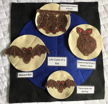 Load image into Gallery viewer, Life Cycles