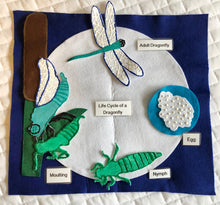 Load image into Gallery viewer, Life Cycles