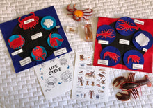 Load image into Gallery viewer, Life Cycles