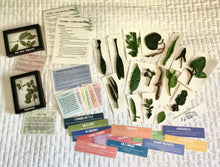 Load image into Gallery viewer, Station: Plants and People