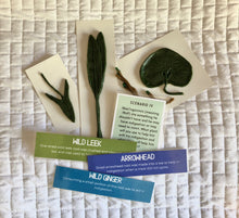 Load image into Gallery viewer, Station: Plants and People