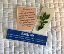 Load image into Gallery viewer, Station: Plants and People