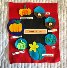 Load image into Gallery viewer, Station: Plant Life Cycles