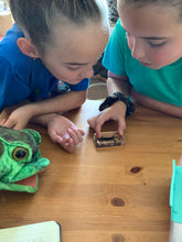 Load image into Gallery viewer, Life Cycles