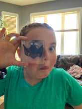 Load image into Gallery viewer, Life Cycles