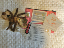 Load image into Gallery viewer, Biomes