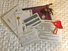 Load image into Gallery viewer, Biomes