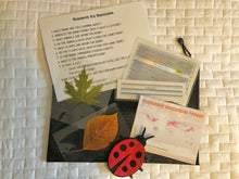 Load image into Gallery viewer, Biomes