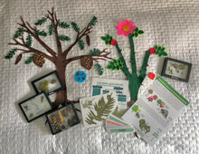 Load image into Gallery viewer, All About Plants