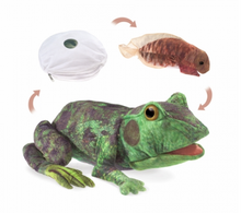 Load image into Gallery viewer, Life Cycles