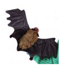 Load image into Gallery viewer, Life Cycles