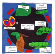 Load image into Gallery viewer, Life Cycles