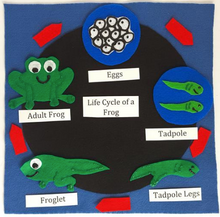 Load image into Gallery viewer, Life Cycles