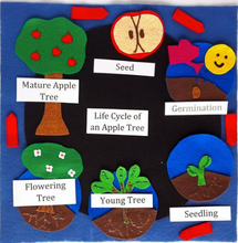 Load image into Gallery viewer, Life Cycles