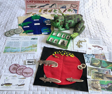 Load image into Gallery viewer, Life Cycles