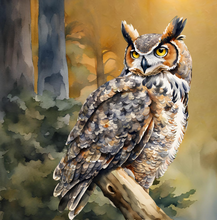 Load image into Gallery viewer, Owl in the Moonlight. - Paperback