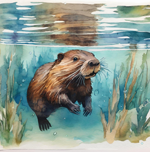 Load image into Gallery viewer, &#39;Beaver Builds a Wetland&#39; Children&#39;s Paperback Book