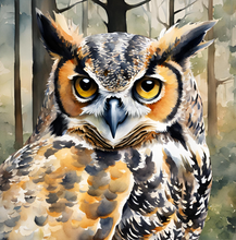 Load image into Gallery viewer, Owl in the Moonlight. - Paperback