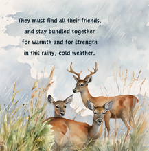 Load image into Gallery viewer, &#39;Survival of a Fawn&#39; Children&#39;s Hardcover Book