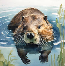 Load image into Gallery viewer, &#39;Beaver Builds a Wetland&#39; Children&#39;s Paperback Book