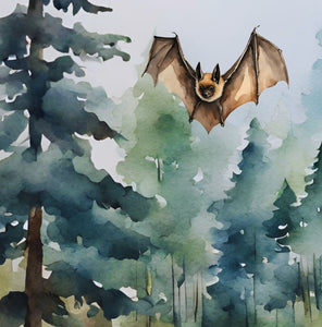 ‘Echoes in the Night, A Brown Bat’s Adventure' Children's Paperback Book