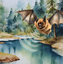 Load image into Gallery viewer, ‘Echoes in the Night, A Brown Bat’s Adventure&#39; Children&#39;s Paperback Book