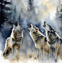 Load image into Gallery viewer, Footprints of a Wolf Pack - Paperback