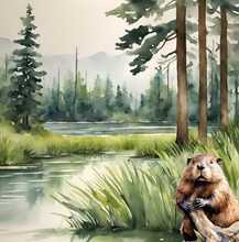 Load image into Gallery viewer, &#39;Beaver Builds a Wetland&#39; Children&#39;s Paperback Book