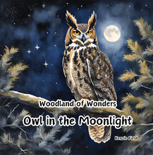 Load image into Gallery viewer, Owl in the Moonlight. - Paperback