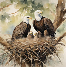 Load image into Gallery viewer, &#39;Rise of an Eagle&#39; - Children&#39;s Hardcover Book