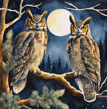 Load image into Gallery viewer, Owl in the Moonlight. - Paperback