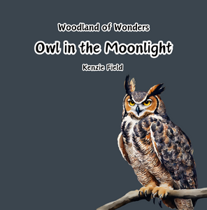 Owl in the Moonlight. - Paperback