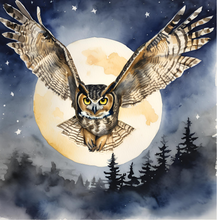 Load image into Gallery viewer, Owl in the Moonlight. - Paperback