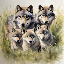 Load image into Gallery viewer, Footprints of a Wolf Pack - Paperback