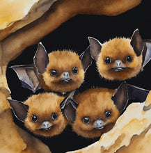 Load image into Gallery viewer, ‘Echoes in the Night, A Brown Bat’s Adventure&#39; Children&#39;s Paperback Book