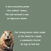 Load image into Gallery viewer, &#39;Beaver Builds a Wetland&#39; Children&#39;s Paperback Book