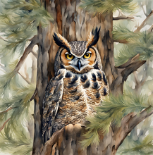 Load image into Gallery viewer, Owl in the Moonlight. - Paperback