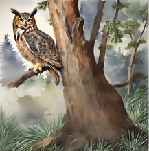 Load image into Gallery viewer, Owl in the Moonlight. - Paperback