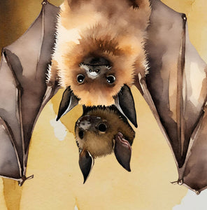 ‘Echoes in the Night, A Brown Bat’s Adventure' Children's Paperback Book